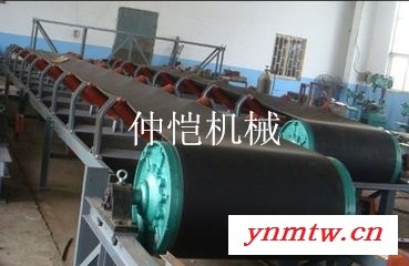 生产批发皮带式输送机图2