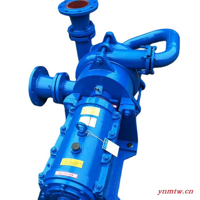 ZJW、SYA型系列 压滤机入料泵 入料泵图5