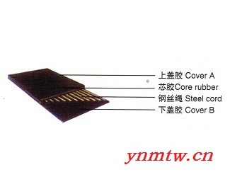 TD75带式输送机 供应图5