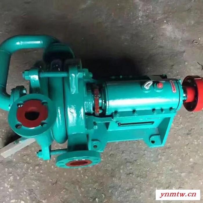 旋澳泵业  ZJW压滤机专用入料泵图5