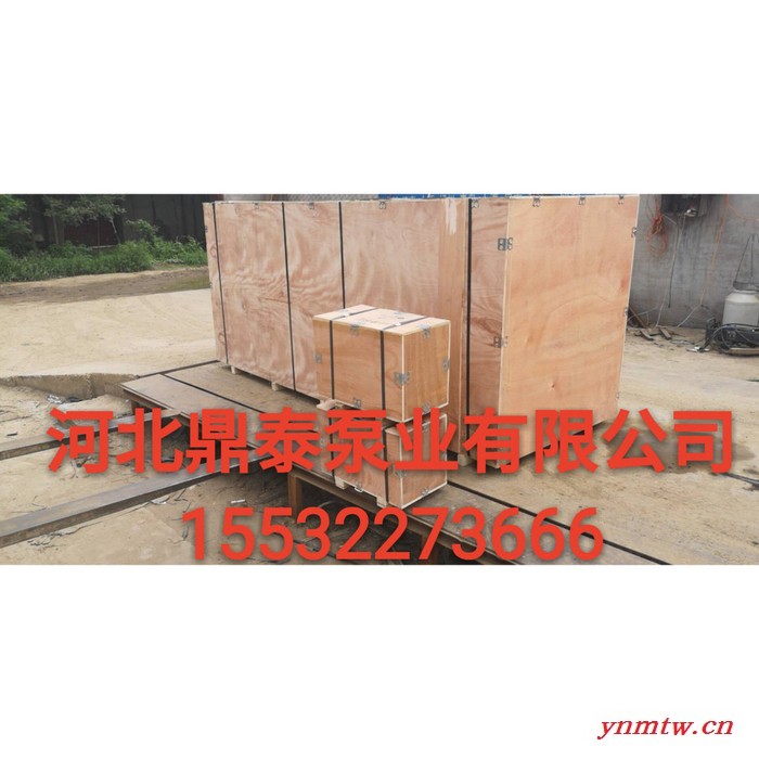 鼎泰 压滤机专用泵100SYA80SYA65SYA洗沙泵厂家自营直发图3