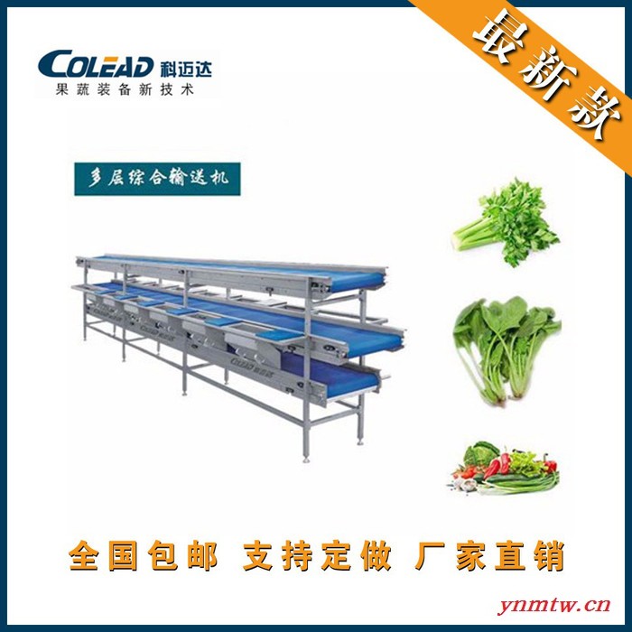 供应蔬菜输送机   网带式输送机  多层输送机 科迈达食品机械设备** 科迈达输送设备 蔬菜输送机图2