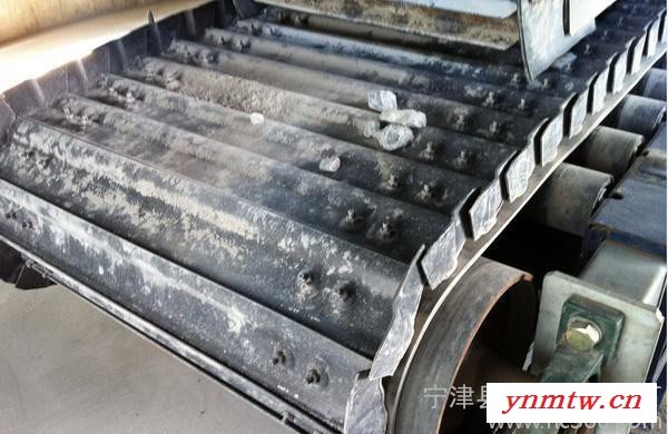 鑫顺通网链**网带式输送机 烘干机输送机.链板输送机 **价廉