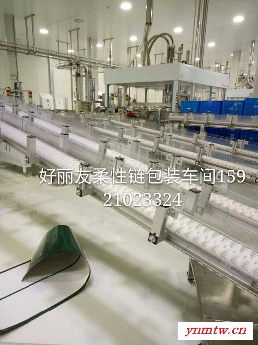 立启12-3 柔性链板输送机矿泉水输送线 果汁苏打水碳酸饮料 风送 平行输送机 带式输送机 食品级自动图6