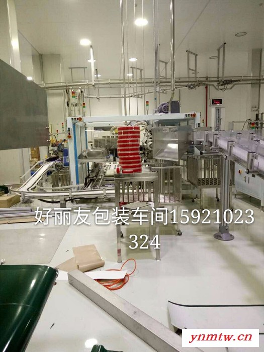 立启12-3 柔性链板输送机矿泉水输送线 果汁苏打水碳酸饮料 风送 平行输送机 带式输送机 食品级自动图3