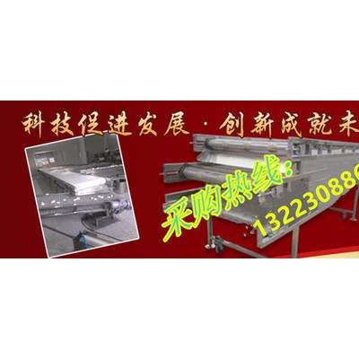 天嘉sdsd-06 复合型往复式速冻隧道三层网带饺子输送机爬坡式输送机