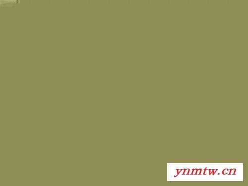 输送机_鼎鑫网链_移动式皮带输送机图1