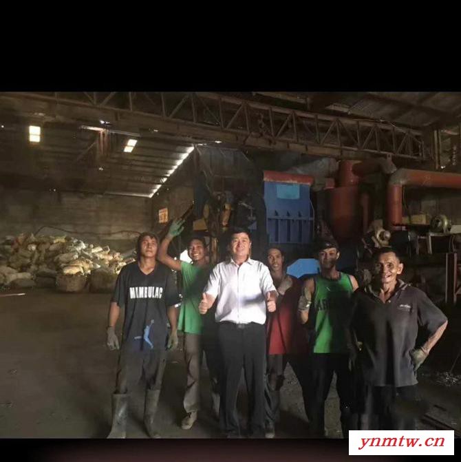 金属破碎机，江苏金属破碎机，金属破碎机江西 沈阳金属破碎机，金属破碎机价格， 废钢破碎线图2