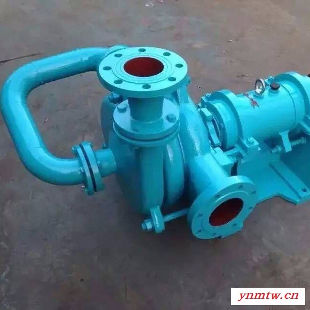 拓泉 65ZJW-II 压滤机入料泵 37kw 压滤机入料泵 200平方板框压滤机 耐磨入料泵配件 厂家现货供应图2
