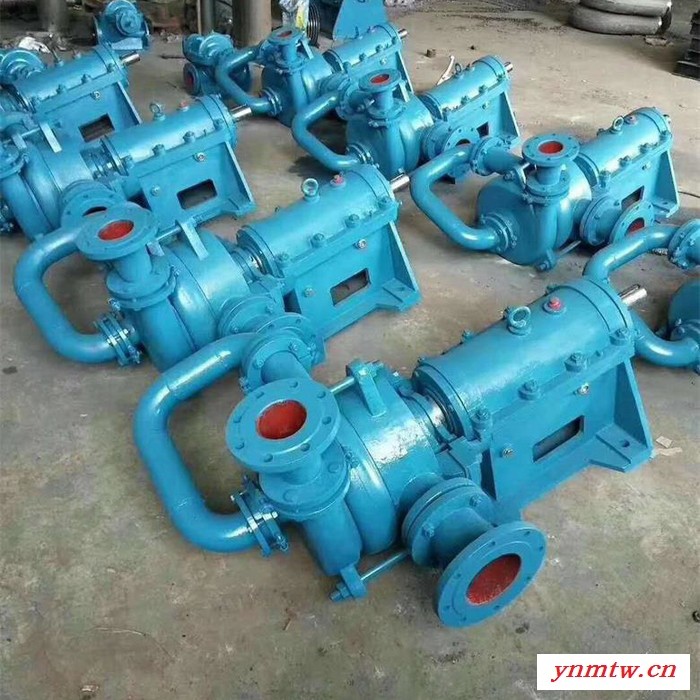 **100ZJE-II型高压渣浆泵 压滤机入料泵 压滤机专用泵图2