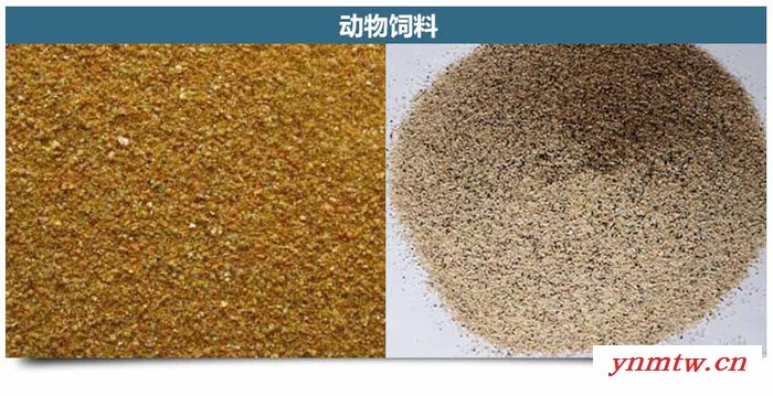 旭朗 厂家直供水果筐破碎机 破碎机型号 破碎机械 粉碎机图2