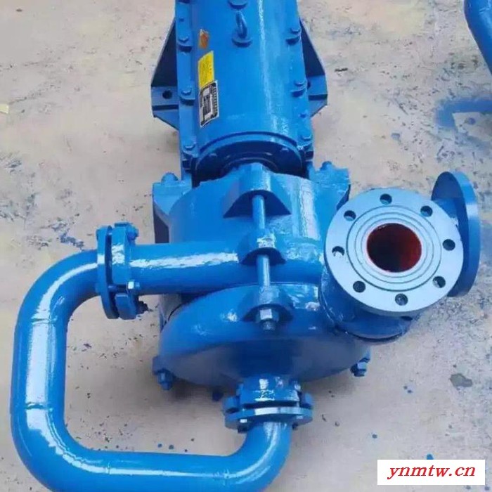 厂家 直销50SYA 压滤机入料渣浆泵 ZJE型压滤机专用入料泵杂质泵 耐磨压滤机入料泵加压泵欢迎询价图4
