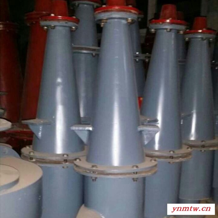 【鑫强】供应水力旋流器  **旋流器  聚氨酯旋流器 低价现货图3