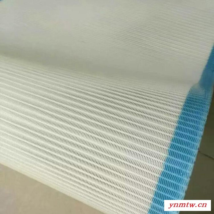 带式压滤机滤布滤网  污泥脱水 聚酯滤带图2
