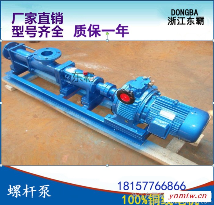东霸G40-1调速无极变速机，压滤机污泥泵 压滤机螺杆泵 G型单螺杆泵 高粘度浓浆泵铸铁污泥螺杆输送泵不锈钢污泥螺杆泵图2