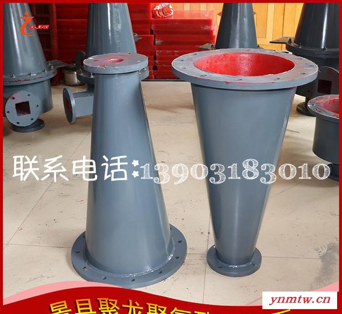 聚龙专业定制 【分级旋流器】 新款直销聚氨酯旋流器图3