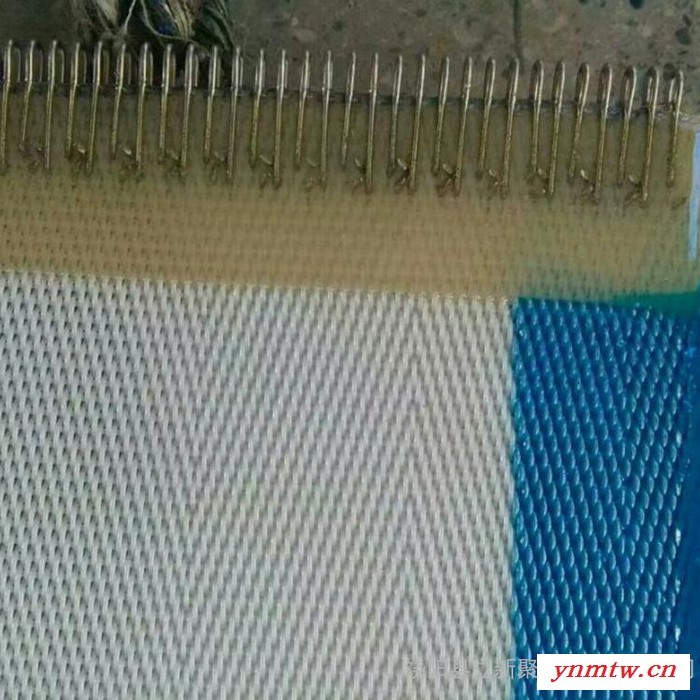 生产 压滤机聚酯网带 污泥脱水压滤网带 价格优惠图4