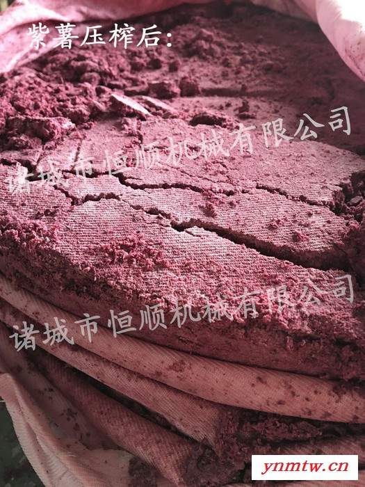 双料筒竹笋、春笋酱腌菜脱盐机 冰葡萄干红液压压榨机 压滤机图6