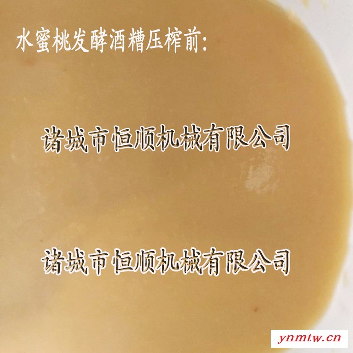 双料筒竹笋、春笋酱腌菜脱盐机 冰葡萄干红液压压榨机 压滤机图8
