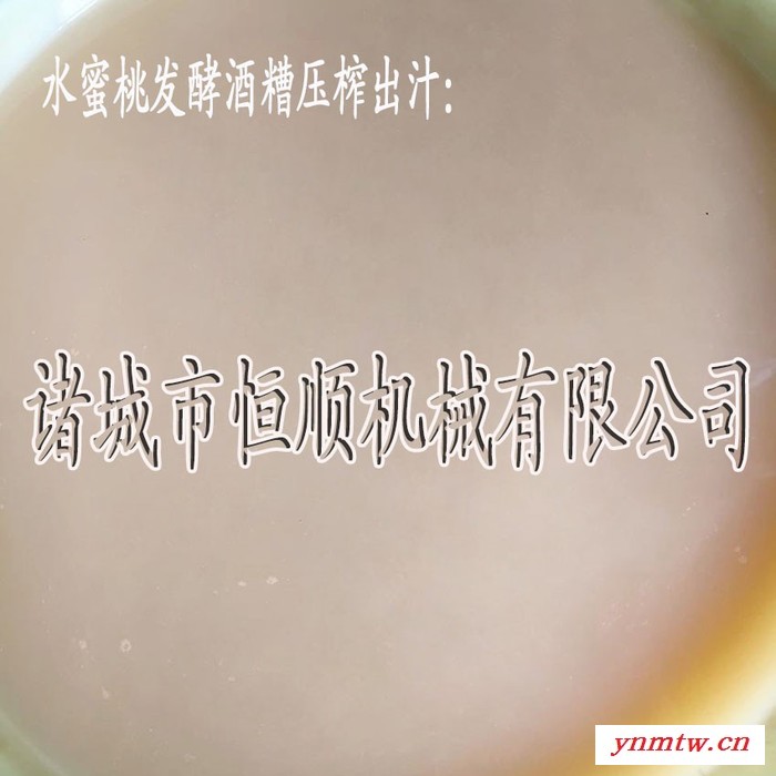 双料筒竹笋、春笋酱腌菜脱盐机 冰葡萄干红液压压榨机 压滤机图7