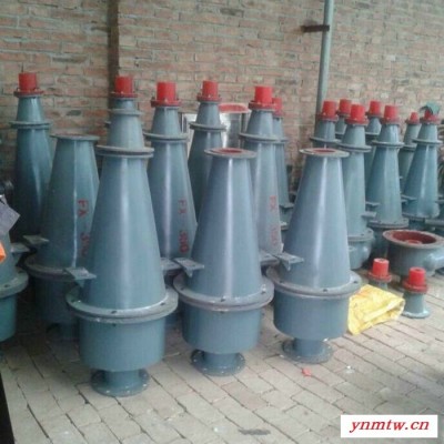 天向耐磨水力旋流器 聚氨酯旋流器 矿用水力旋流器 厂家现货