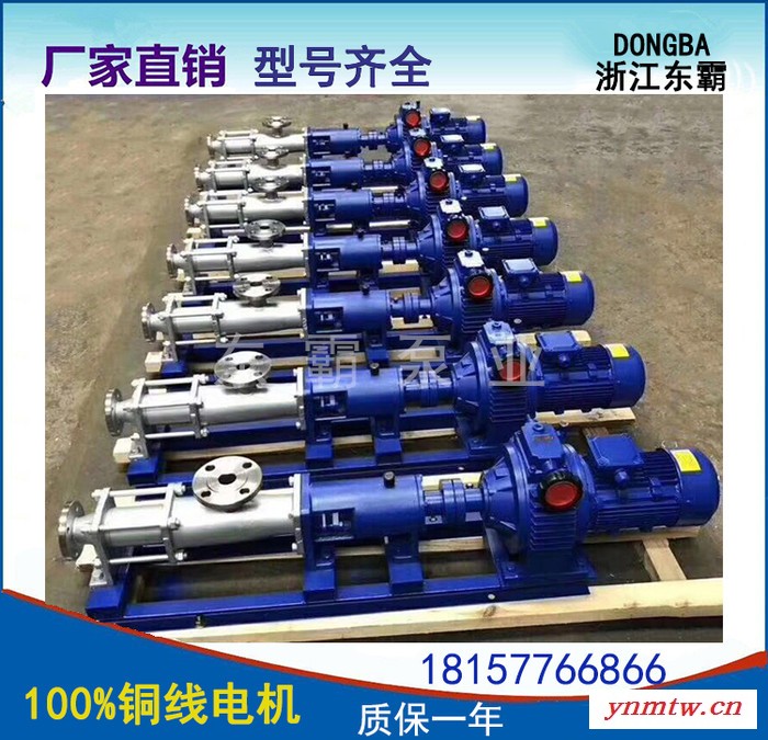 东霸G20-2调速无极变速机，压滤机污泥泵 压滤机螺杆泵 G型单螺杆泵 高粘度浓浆泵铸铁污泥螺杆输送泵不锈钢污泥螺杆泵图8