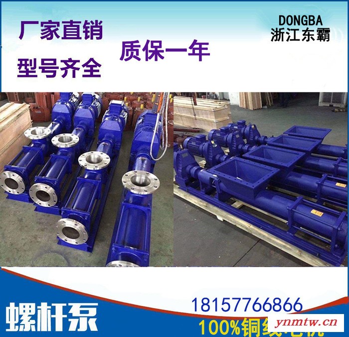 东霸G20-2调速无极变速机，压滤机污泥泵 压滤机螺杆泵 G型单螺杆泵 高粘度浓浆泵铸铁污泥螺杆输送泵不锈钢污泥螺杆泵图1
