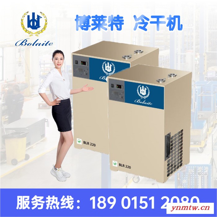 博莱特冷干机吸干机 博莱特冷冻式干燥机吸附式干燥机 工厂直发