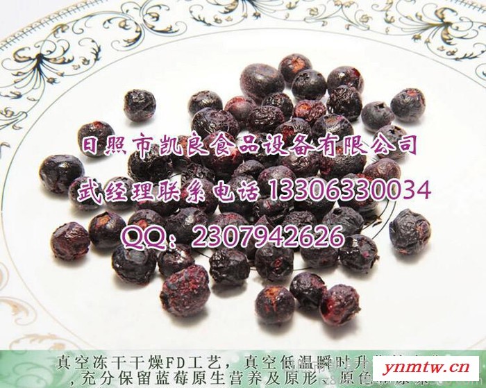蓝莓连续式干燥机真空干燥机图4