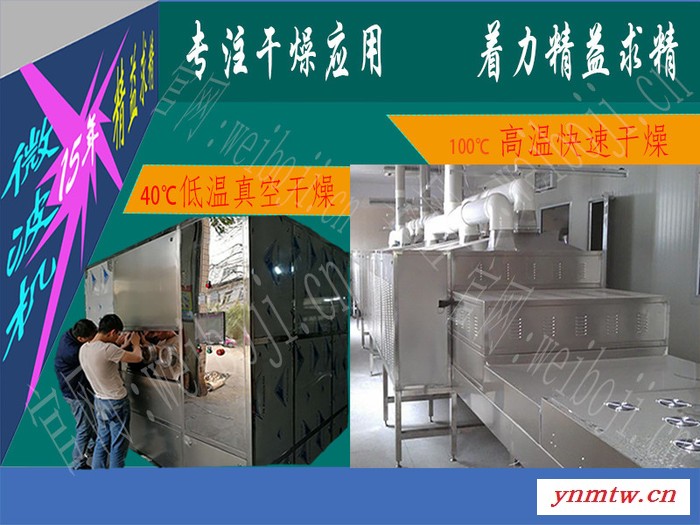 低温真空干燥机 & 高温快速干燥机 工厂定制图3