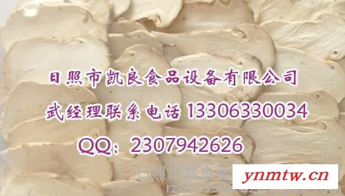 松茸全自动真空冷冻干燥机真空干燥机图4