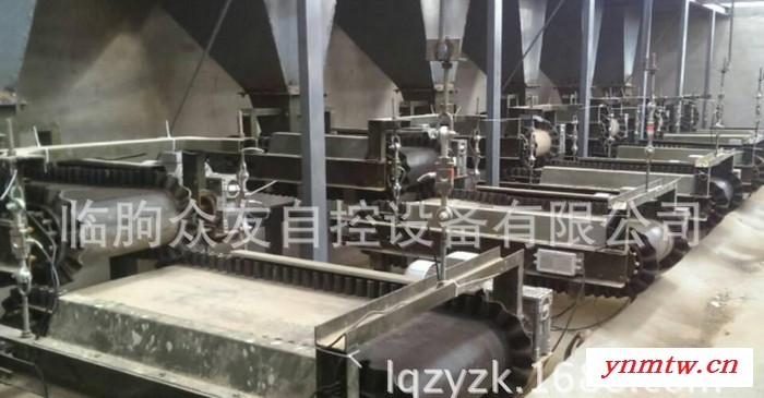 大量供应TDG系列皮带秤 新型定量给料机 定量皮带给料机图3