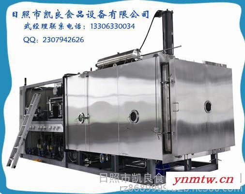 蓝莓节能型真空干燥机图6