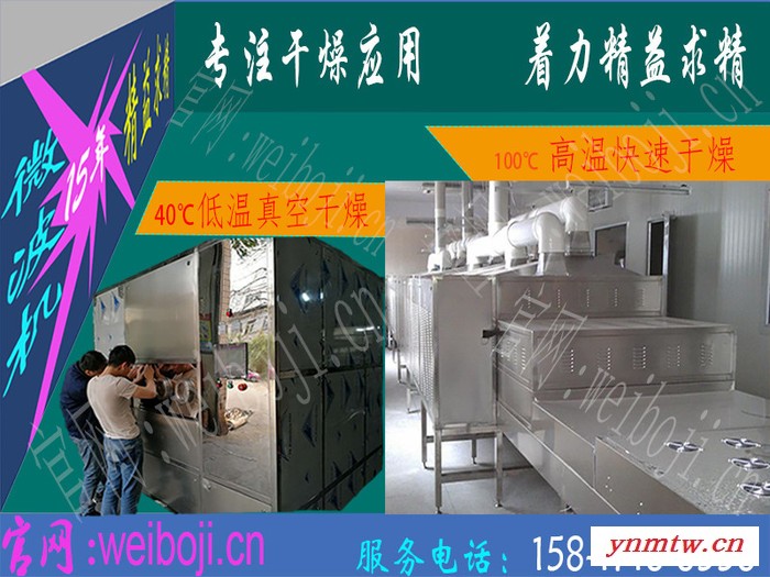 新一代氢氧化锆干燥机 氢氧化锆微波干燥设备图7