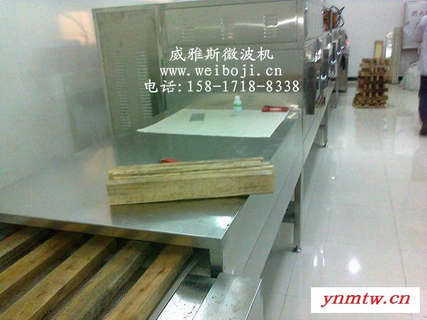 威雅斯VYS-50HM6供应海南大型柚木干燥机图3
