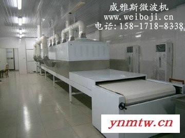 威雅斯VYS-60HM微波有机物干燥机图2