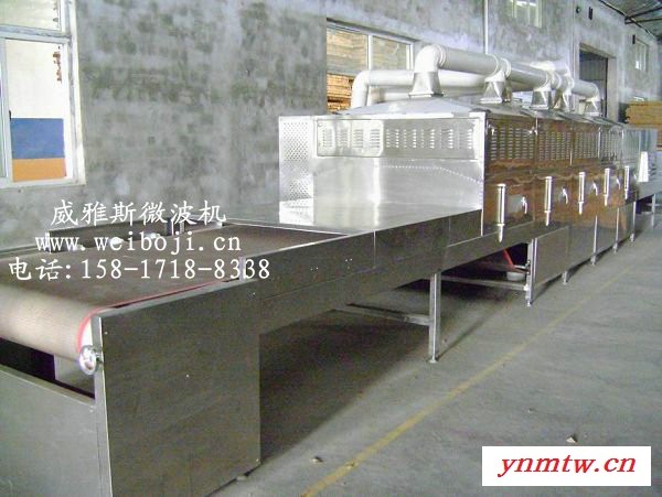 威雅斯VYS-60HM微波有机物干燥机图3