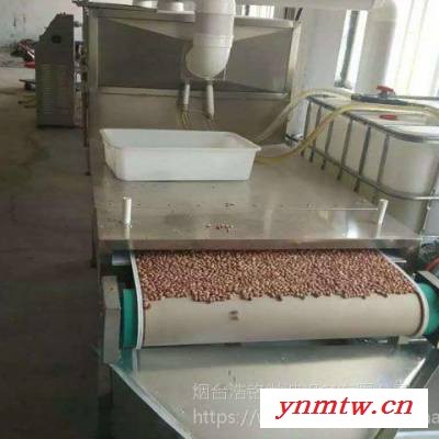 供应微波连续干燥机 HMWB-33SD连续式微波食品杀菌机图3
