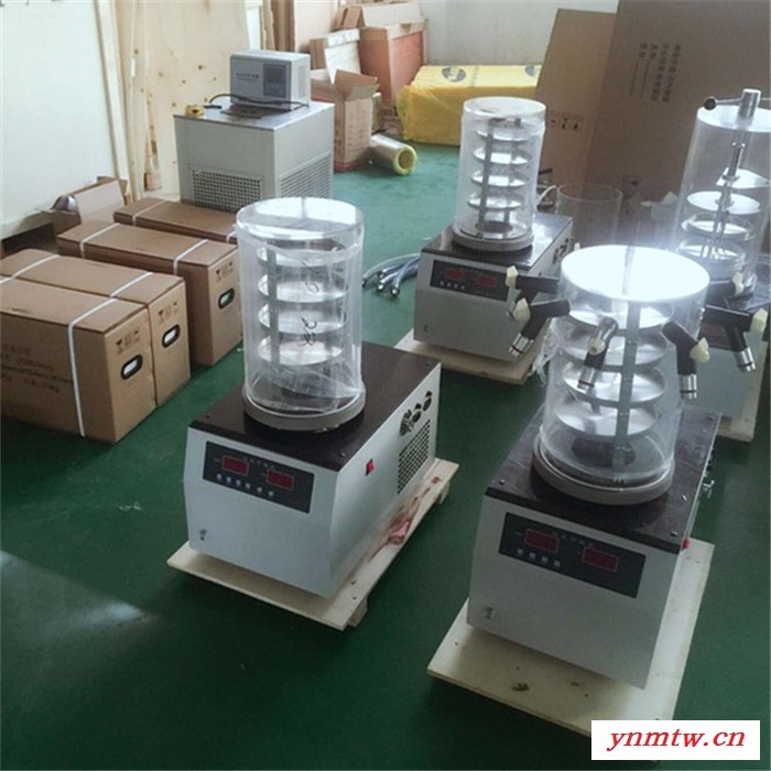 川一仪器FD-1A-80 冷冻干燥机 多歧管冷冻干燥机实验用T型大容量真空冻干设备图1