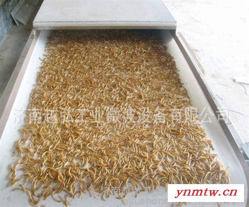 YH-50KW微波汽车隔音材料干燥机