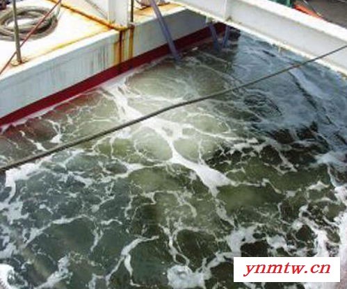 水产纳米微气泡机 微纳米臭氧气泡机 微纳米气泡浮选机 生产厂家价格报价图4