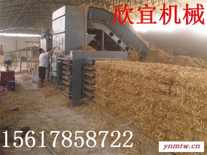 供应废旧塑料瓶打包机 大型金属破碎机设备 捆扎系扣稳定性高图4