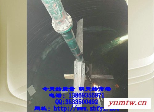 水煤浆搅拌器生产厂家质量有保障价格合理图5