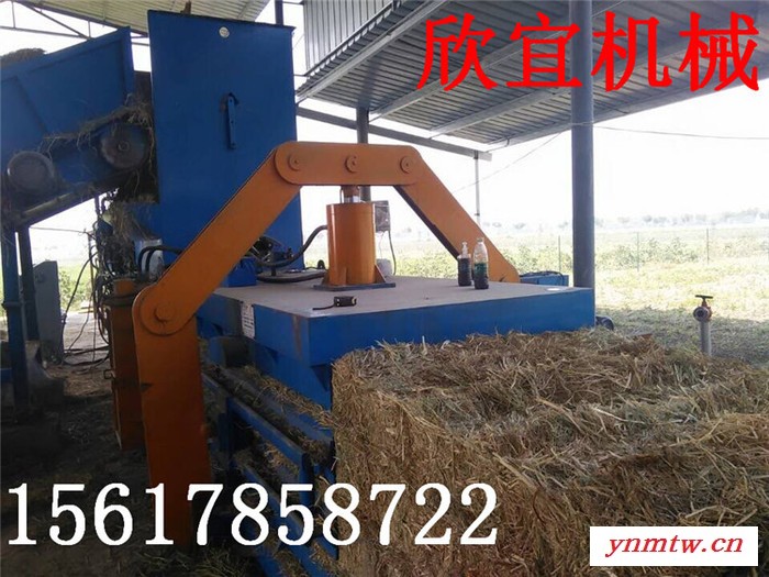 欣宜160型废纸箱打包机 液压废纸壳打包机 大型轻薄料破碎机价格图4