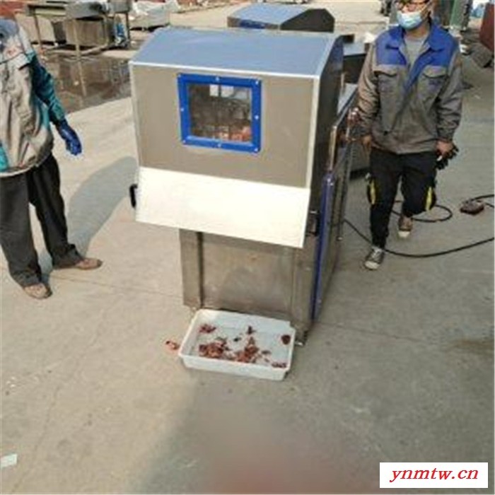 景翔牌QK-200型冻肉刨肉机 冷冻肉刨肉片机 冰盘破碎机 刨肉片机图7