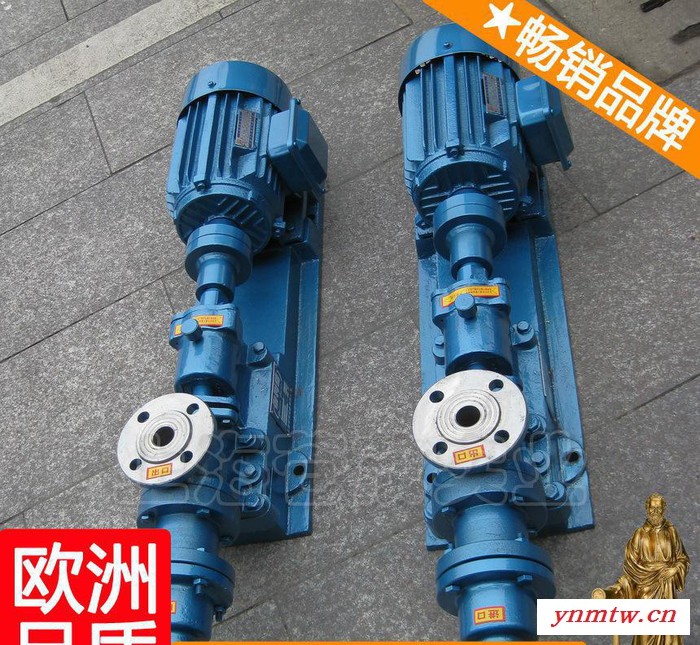 砂浆螺杆泵定子 潜水污泥泵 上海水煤浆螺杆泵 伽叁图3