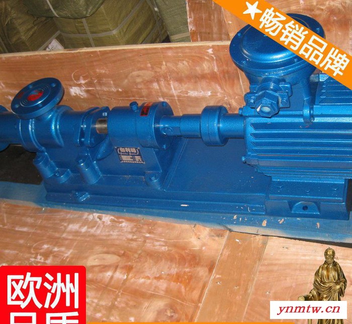 砂浆螺杆泵定子 潜水污泥泵 上海水煤浆螺杆泵 伽叁图5