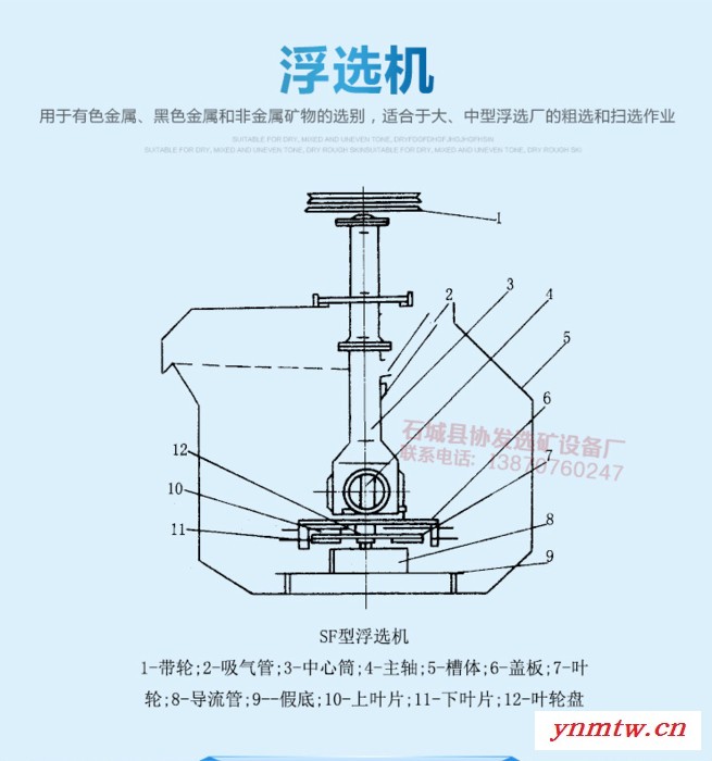 协发SF 浮选机 选矿洗沙设备图3