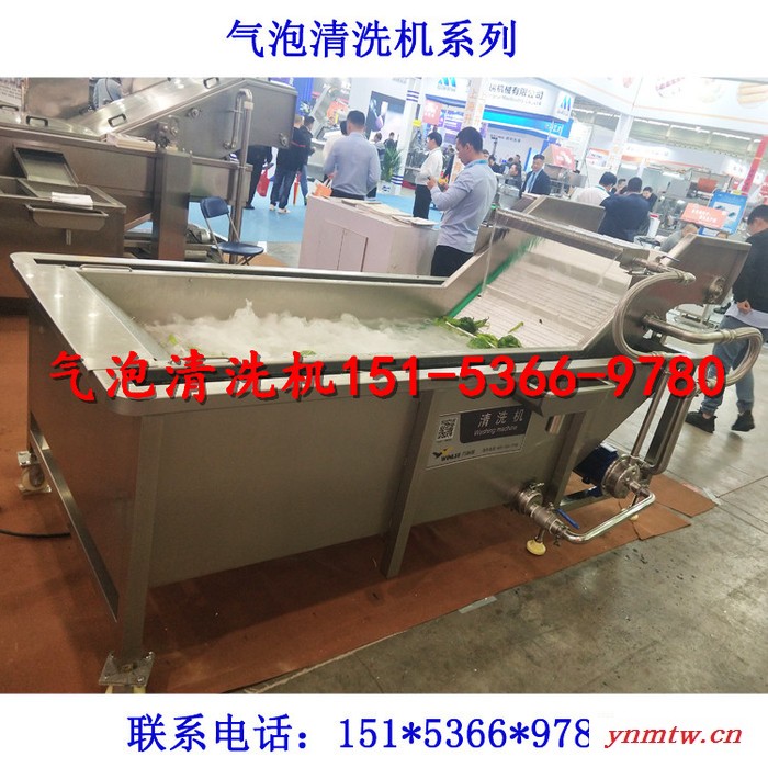 国宇gy-4000 浸泡机气泡浮选机气泡清洗机鸡爪清洗机芦笋清洗机酱腌菜脱盐机图5