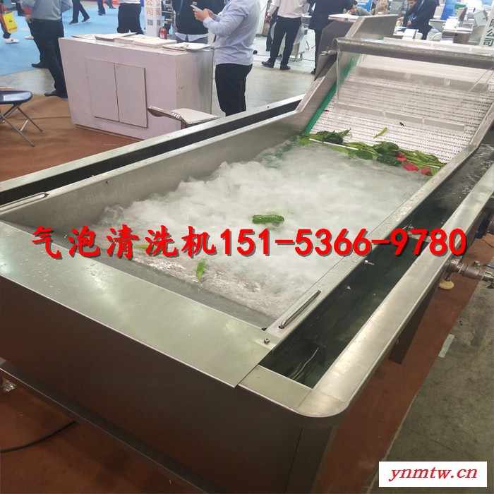 国宇gy-4000 浸泡机气泡浮选机气泡清洗机鸡爪清洗机芦笋清洗机酱腌菜脱盐机图7